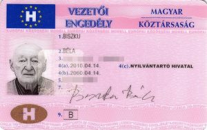 Hungarian Driver's License For Sale