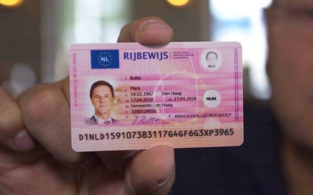 5 Ways to buy Dutch driver's license online