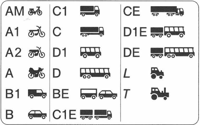 fahrerlaubnisklassen-piktogramme-Buy Kategorie řidičského průkazu