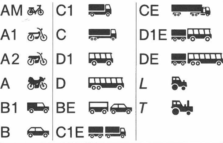 führerschein Klasse B online kaufen ohne prüfung Berliini